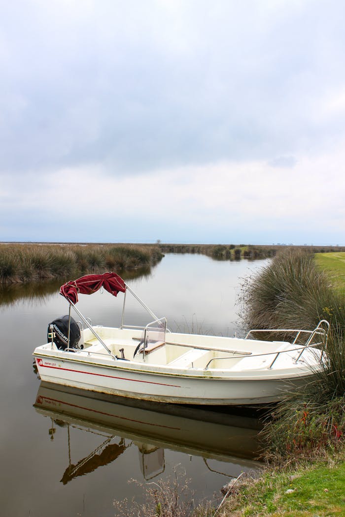 services-01 A small motor boat moored in a serene marsh under a cloudy sky.